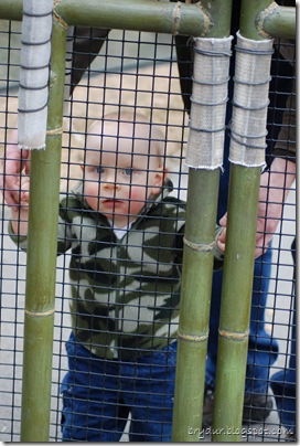 Mike in the red panda cage!