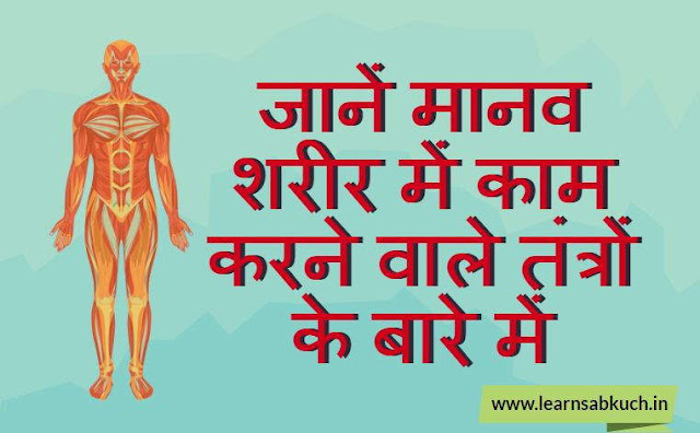 know About the Mechanisms Working in the Human Body