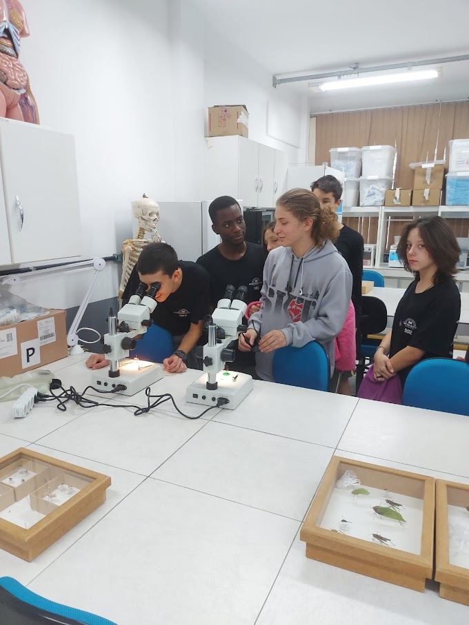 Visita dos estudantes do 9º ano da EEF Demétrio Bettiol - Cocal do Sul