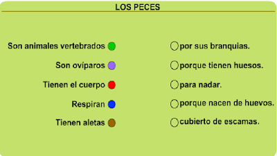 http://www.ceiploreto.es/sugerencias/A_1/Recursosdidacticos/SEGUNDO/datos/03_cmedio/03_Recursos/actividades/03/act4.htm