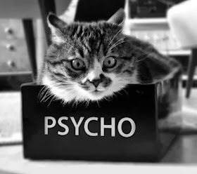 Funny cats - part 82 (40 pics + 10 gifs), cat photo, cat sits in a box with label psycho