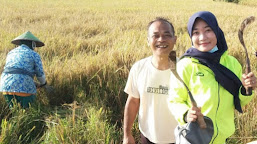  Gabah Anjlok Petani Tuban Bandingkan Zaman Sekarang Dengan Era Soeharto 