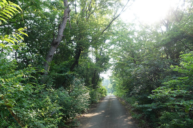 大山平原ゴルフクラブの裏道