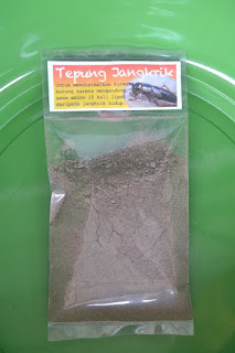 Terkait Tepung Jangkrik serta Langkah Tentukan kwalitasnya