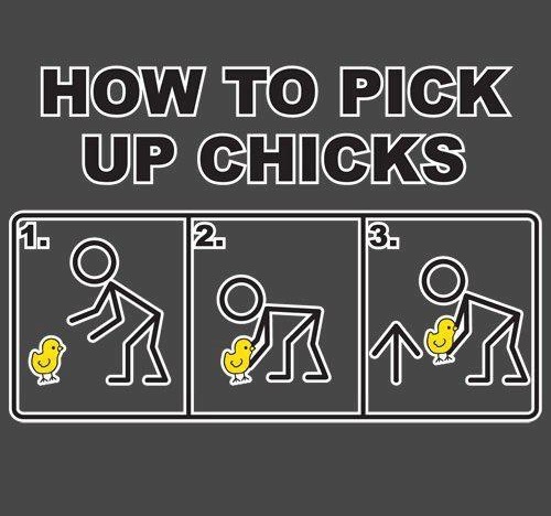 Picking+Up+Chicks!