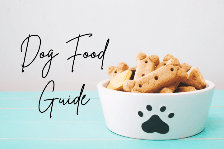 dog food, dog food guide