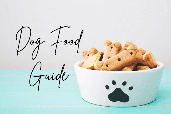 Ultimate Dog Food Guide - 5 Steps
