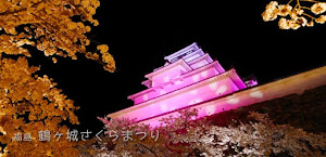 [福島] 鶴ヶ城の桜がすごすぎる！☆ ライトアップ