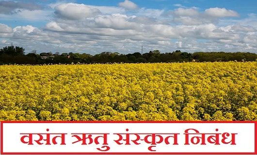 वसंत ऋतु संस्कृत निबंध। Spring Season Sanskrit Essay 