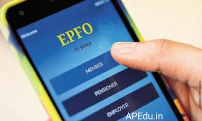 EPF Balance: How many money are in your PF account? Learn these steps.