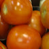 Mr and Mrs Tomato...