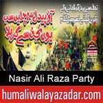 https://www.humaliwalayazadar.com/2019/09/nasir-ali-raza-party-nohay-2020.html