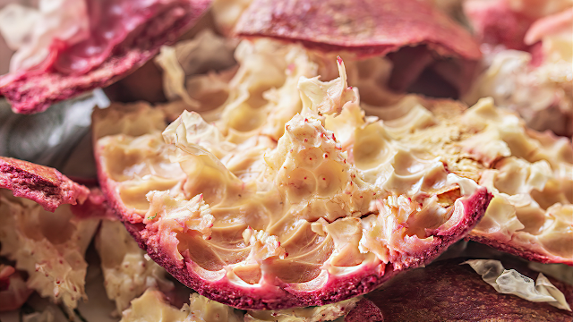 The Hidden Health Benefits of Pomegranate Peel
