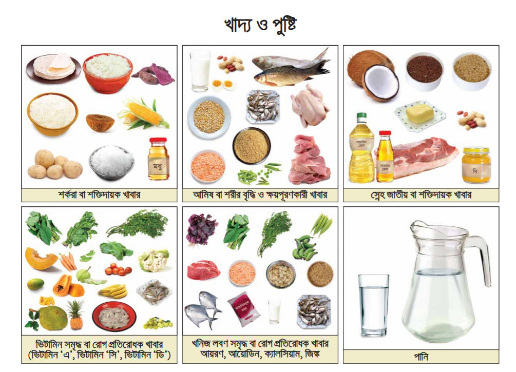 HSC Food and Nutrition Assignment Answer 2022 7th Week