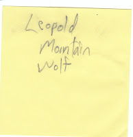 Leopold Mountain Wolf