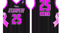 United States Basketball League
