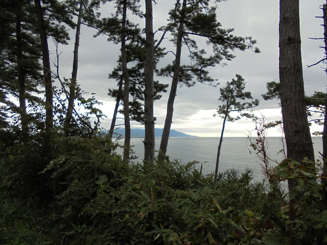 荒磯遊歩道からの眺望