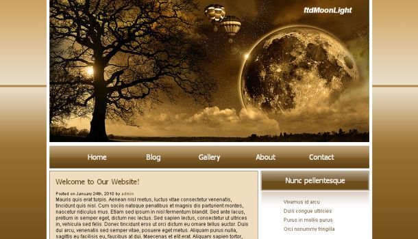 Moon Light Dark Brown CSS Website Template