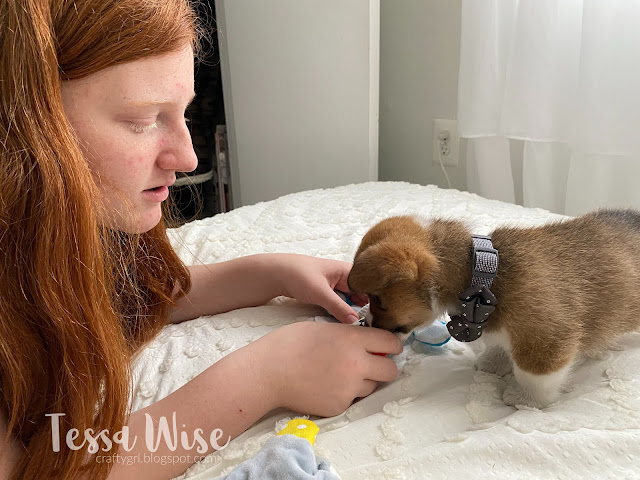 girl with puppy