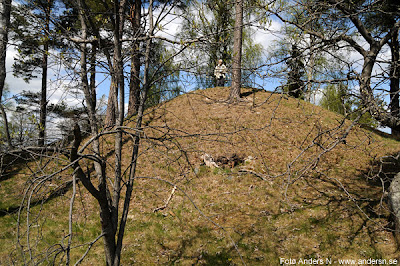 kulle, backe, skog, fornborg, borg, småland, vår