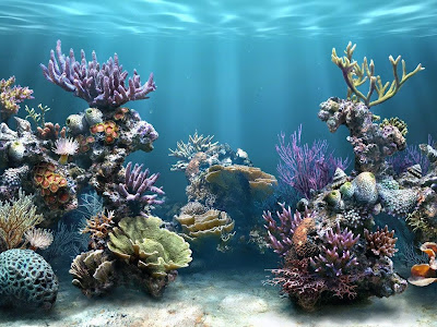 Aquarium Screen Saver - Top Desktop