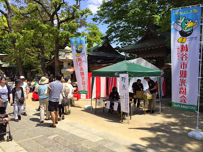 久伊豆神社藤まつり（平成27年5月3日）