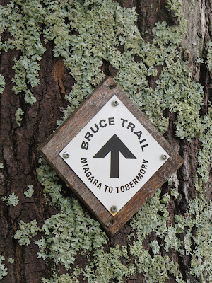 Bruce Trail logo on tree.