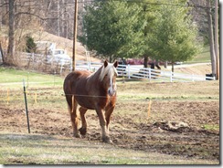 SanDee and High Water 03-12-11 003