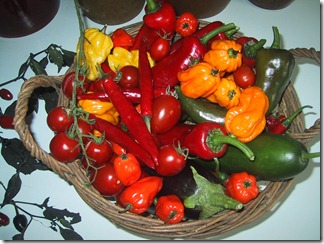 image8