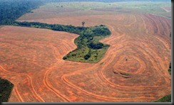 Deforestation-in-Novo--Pr-001