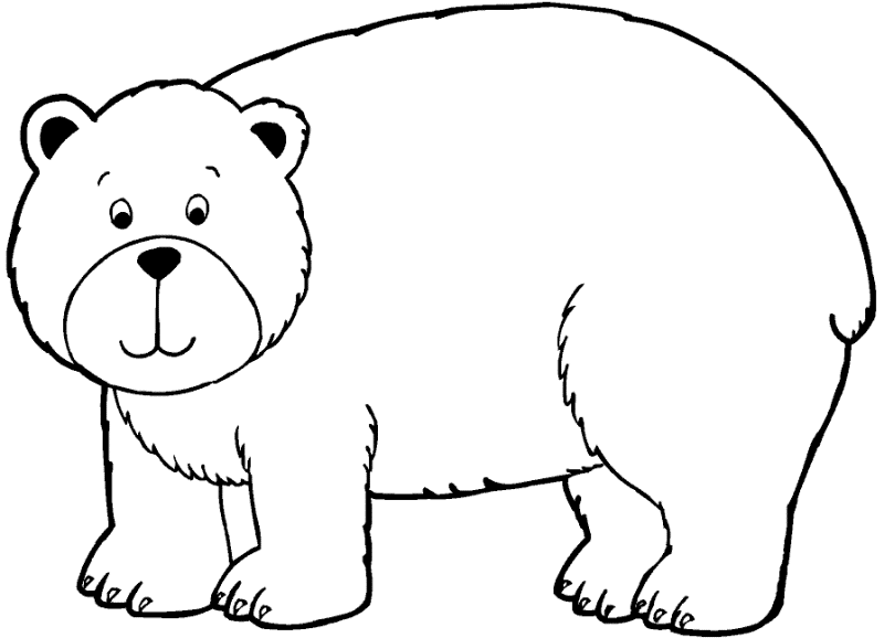Belajar Mewarnai Gambar Beruang