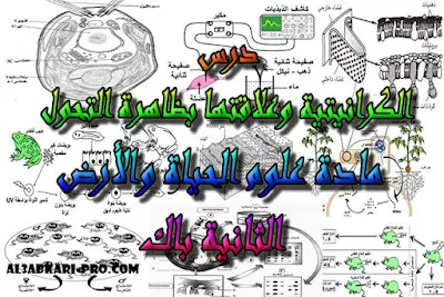 تحميل درس الكرانيتية وعلاقتها بظاهرة التحول للسنة الثانية باك , درس , ملخص , تمارين , امتحانات وطنية علوم الحياة والارض , علوم الحياة والارض , فروض علوم الحياة والارض , الثانية باك , بكالوريا , دروس اونلاين