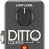 TC Electronic DITTO LOOPER Highly Intuitive Looper Pedal with 5 Minutes of Looping Time, Analog-Dry-Through and True Bypass