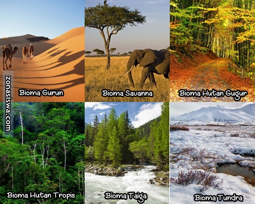 Ekosistem Darat: Pengertian, Jenis, Ciri-ciri, & Gambar