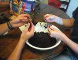 elderberrywinenmaking