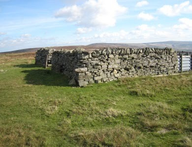 Sheepfold