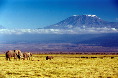View of mount kilimanjaro