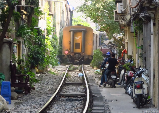 As soon as the train went by, life on the track returns to “normal”. 