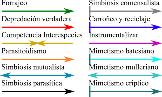 Otros tipos de interacciones. Si tomamos un sistema ecológico de nodos y representamos otras relaciones además de la depredador presa, se obtiene una verdadera red ecológica.