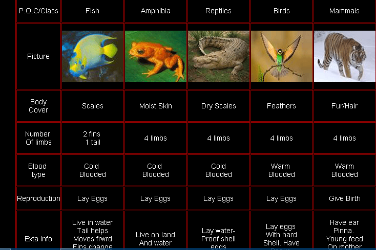 Klasifikasi makhluk hidup secara umum Scientists Biology