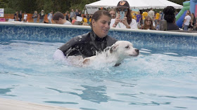 A dog gets some help in the swimming pool