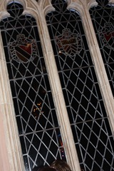 IMG_5920