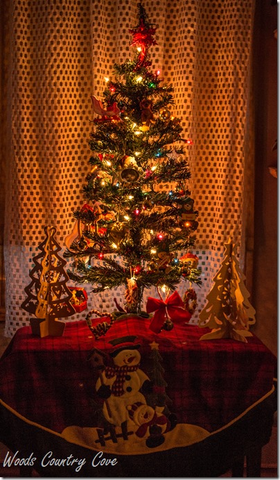 DECEMBER 2016 (4 of 14)