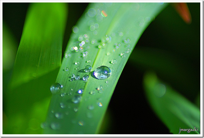 DSC_0141_60001