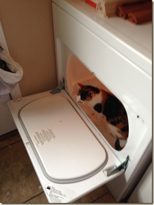 not coming out