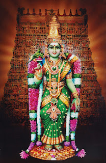 Madurai Meenakshi  Temple