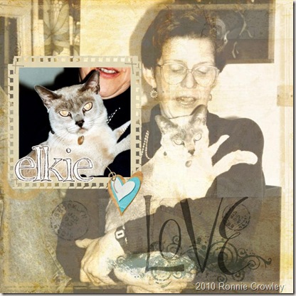 Cat_women (Large)