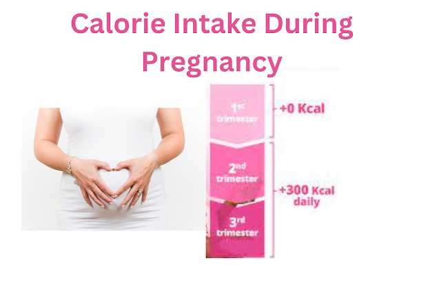 Calorie Intake Pregnancy