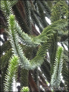 P1400363sm