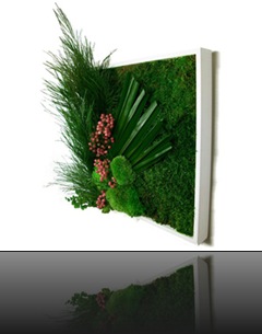 tableau_vegetal